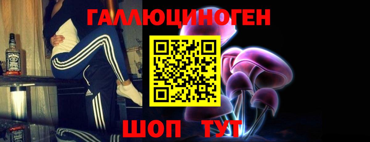 Армавир  Псилоцибиновые грибы GOLDEN TEACHER  Вход с VPN 
